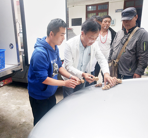 6731������Ϸ(�й���)-�ٷ���վ