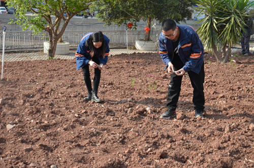 6731������Ϸ(�й���)-�ٷ���վ