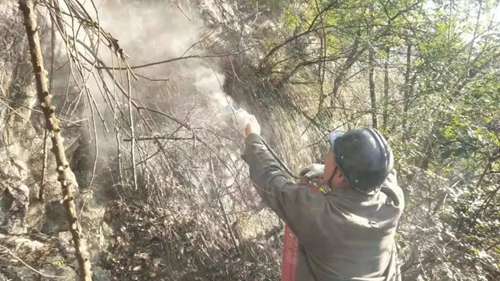 6731������Ϸ(�й���)-�ٷ���վ