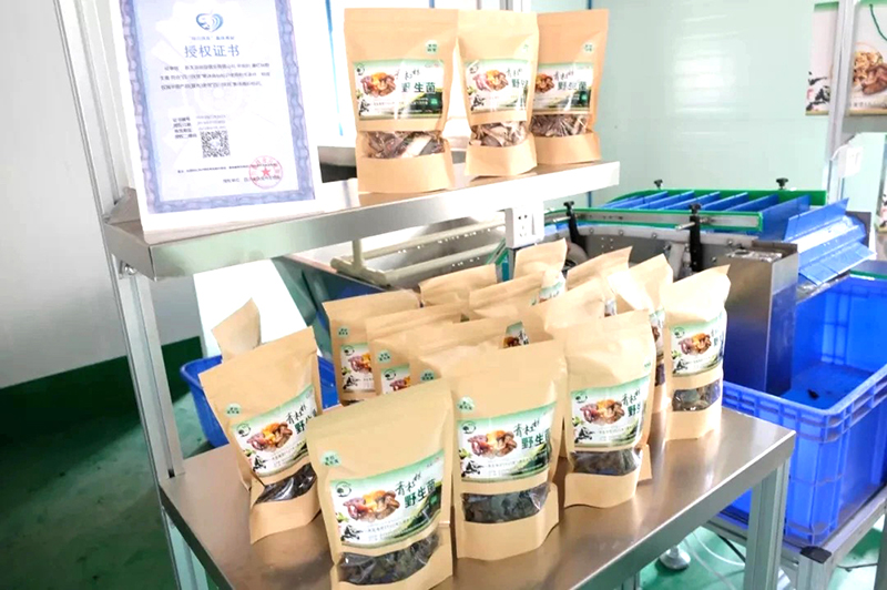 6731������Ϸ(�й���)-�ٷ���վ