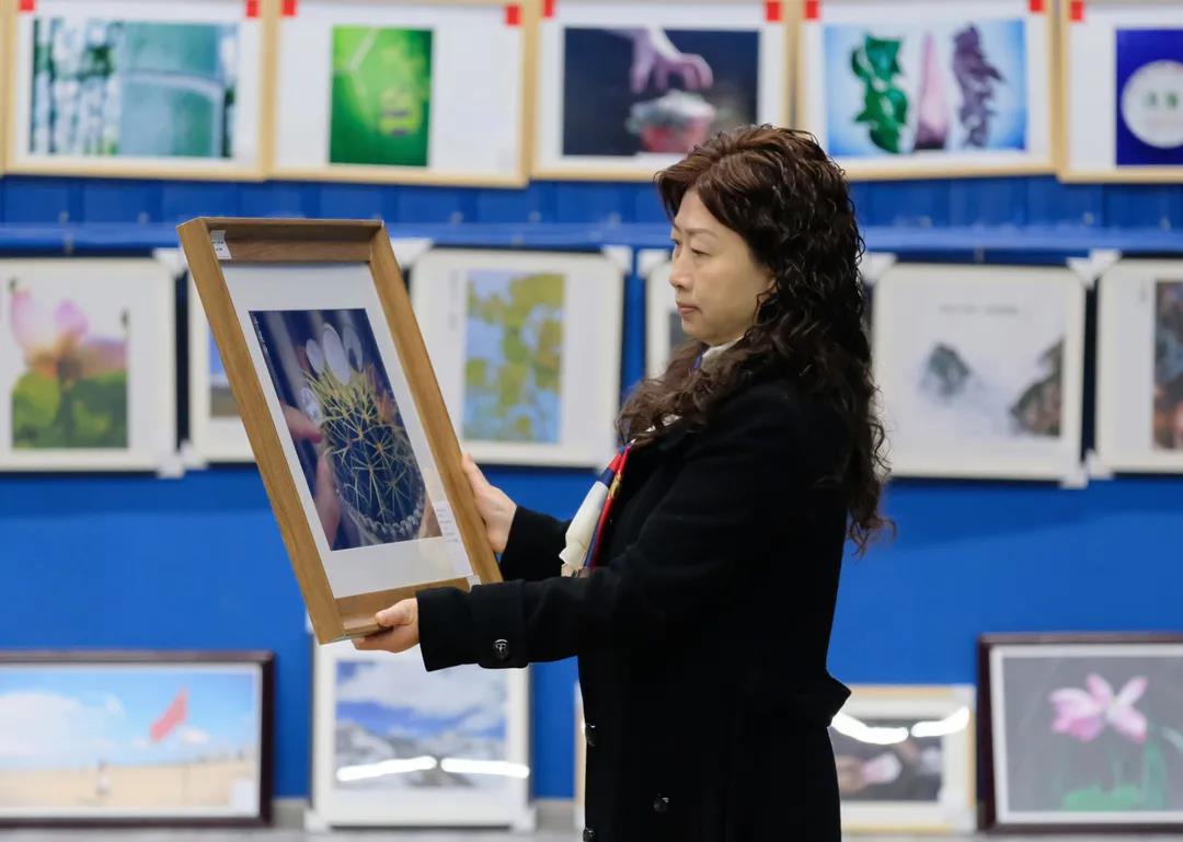 6731������Ϸ(�й���)-�ٷ���վ