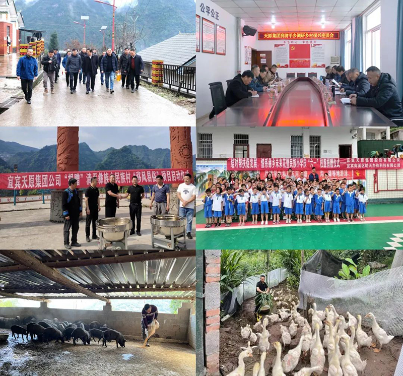 6731������Ϸ(�й���)-�ٷ���վ