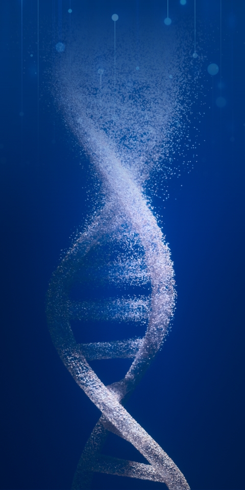 6731������Ϸ(�й���)-�ٷ���վ