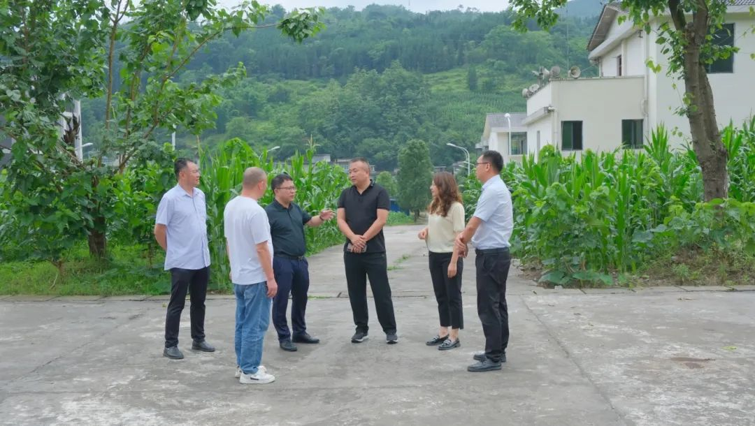 6731������Ϸ(�й���)-�ٷ���վ