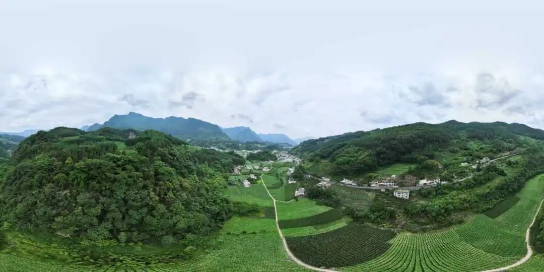 6731������Ϸ(�й���)-�ٷ���վ